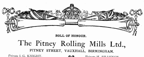 Workers from The Pitney Rolling Mills Ltd of Pitney Street, Vauxhall, Birmingham, who fought in the Great War
 (1919)