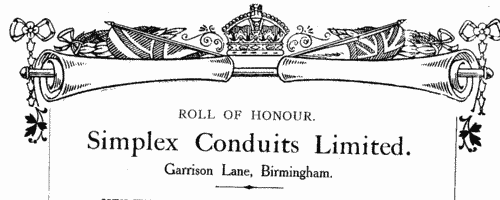 Workers from Simplex Conduits Ltd of Garrison Lane, Birmingham, and elsewhere, who fought in the Great War
 (1919)