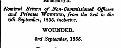 Wounded before Sebastopol: 1st Regiment of Foot
 (1855)