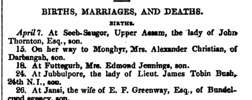 Australasia Brides
 (1843)
